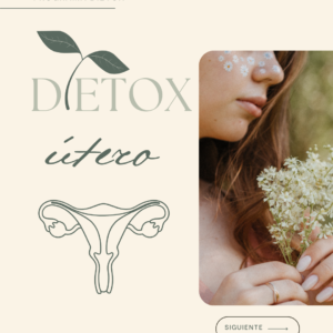 Dietox Útero